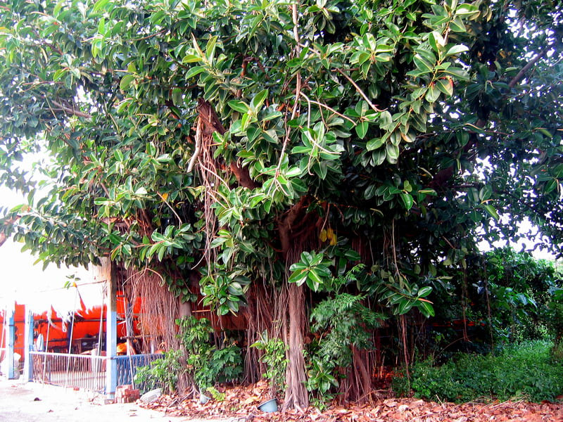 �t��١B�~�١B�����B���������Y