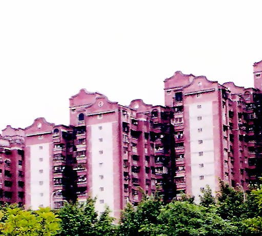 �ӸO�١B�~�١B�����B���������Y