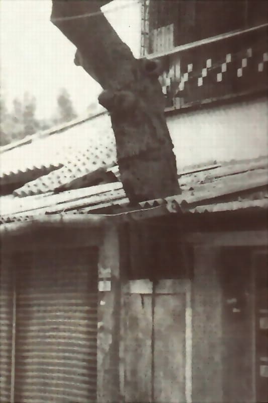 ����v�B���Y�١B�����B���������Y