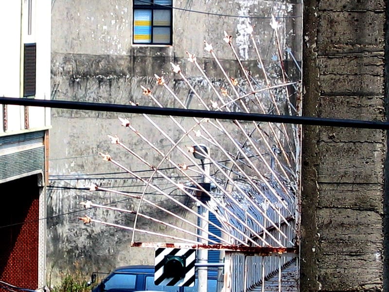 �U�b��߷١B�~�١B�����B���������Y