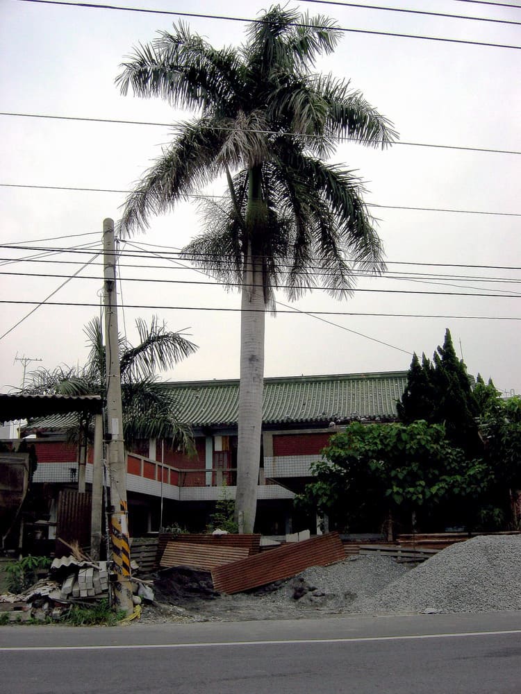 ���e�����l��B�a�w�١B�~�١B�����B���������Y