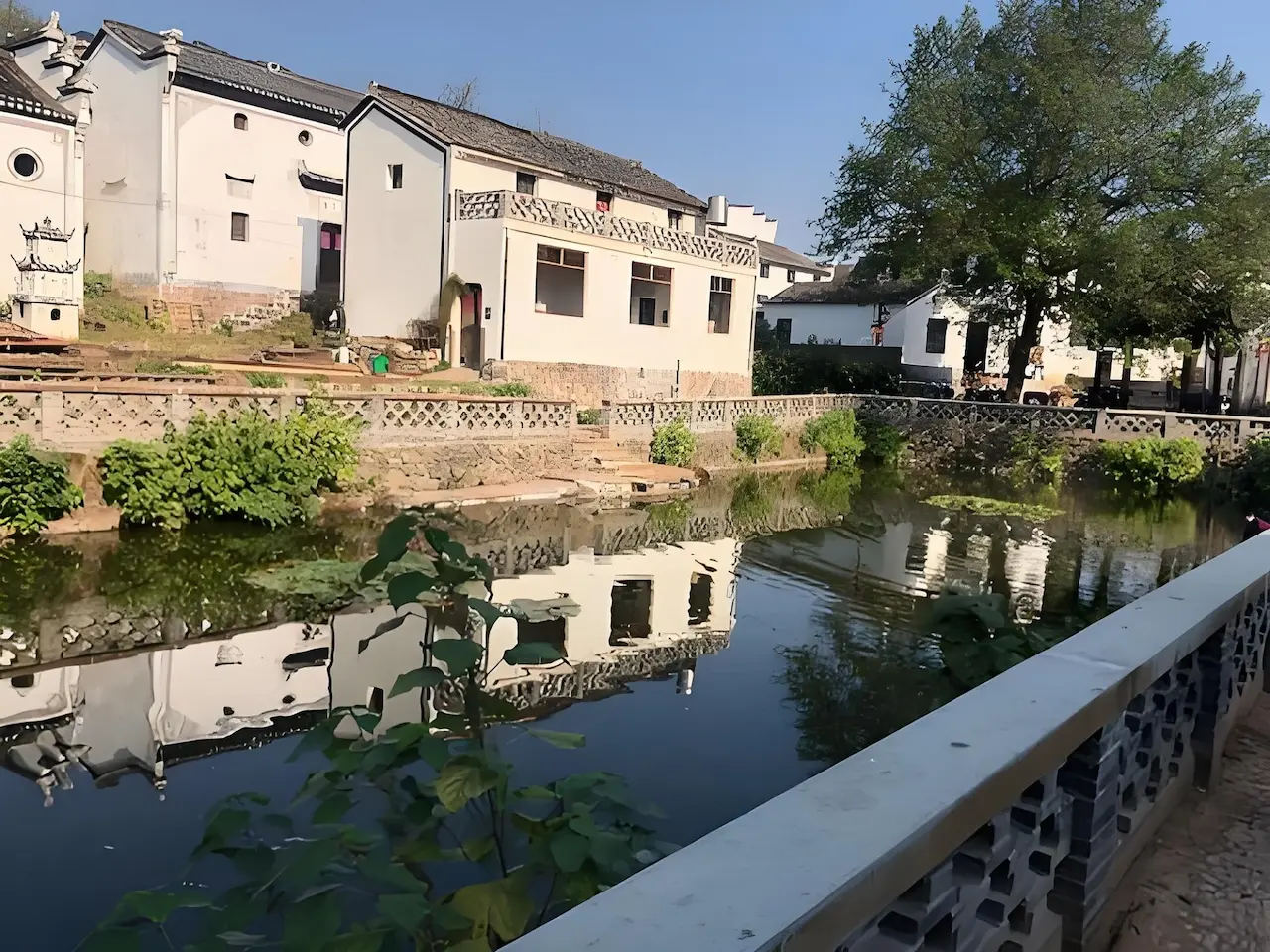 屋後見水池風水禁忌｜房子後方有游泳池會影響財運嗎？